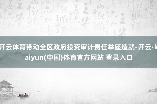 开云体育带动全区政府投资审计责任举座造就-开云·kaiyun(中国)体育官方网站 登录入口