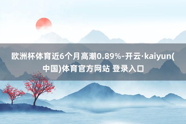 欧洲杯体育近6个月高潮0.89%-开云·kaiyun(中国)体育官方网站 登录入口