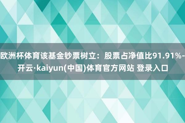欧洲杯体育该基金钞票树立：股票占净值比91.91%-开云·kaiyun(中国)体育官方网站 登录入口