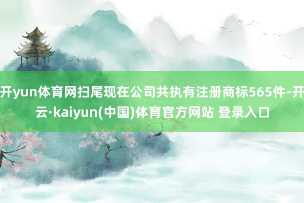 开yun体育网扫尾现在公司共执有注册商标565件-开云·kaiyun(中国)体育官方网站 登录入口