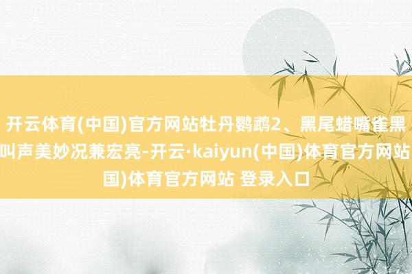 开云体育(中国)官方网站牡丹鹦鹉2、黑尾蜡嘴雀黑尾蜡嘴雀叫声美妙况兼宏亮-开云·kaiyun(中国)体育官方网站 登录入口