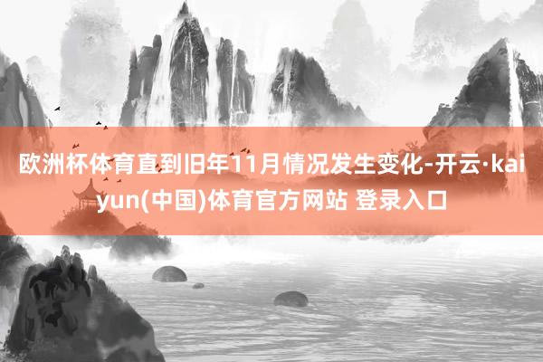 欧洲杯体育直到旧年11月情况发生变化-开云·kaiyun(中国)体育官方网站 登录入口