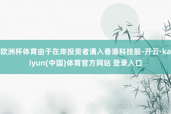 欧洲杯体育由于在岸投资者涌入香港科技股-开云·kaiyun(中国)体育官方网站 登录入口