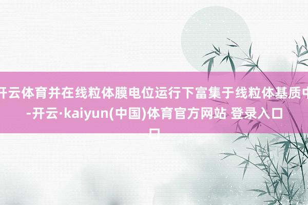 开云体育并在线粒体膜电位运行下富集于线粒体基质中-开云·kaiyun(中国)体育官方网站 登录入口