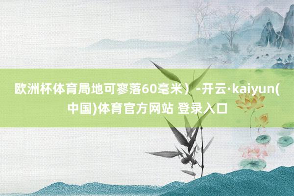 欧洲杯体育局地可寥落60毫米）-开云·kaiyun(中国)体育官方网站 登录入口