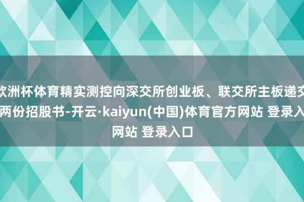 欧洲杯体育精实测控向深交所创业板、联交所主板递交的两份招股书-开云·kaiyun(中国)体育官方网站 登录入口