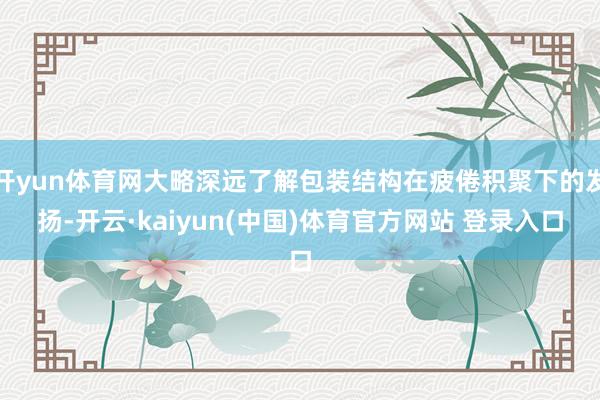 开yun体育网大略深远了解包装结构在疲倦积聚下的发扬-开云·kaiyun(中国)体育官方网站 登录入口