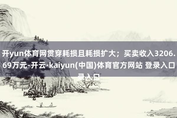 开yun体育网贯穿耗损且耗损扩大;买卖收入3206.69万元-开云·kaiyun(中国)体育官方网站 登录入口