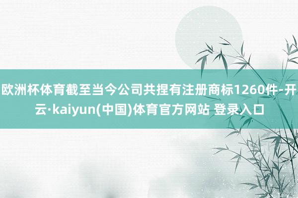 欧洲杯体育截至当今公司共捏有注册商标1260件-开云·kaiyun(中国)体育官方网站 登录入口